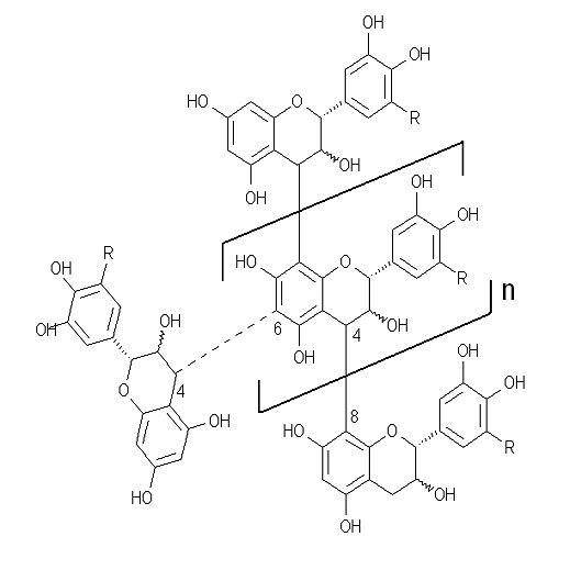 Polyfenoler del 2. Polyfenoler del 2.