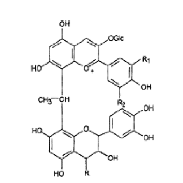 Polyfenoler del 3. Polyfenoler del 3.